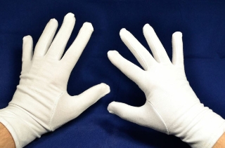 PREMIUM INSPECTION GLOVES