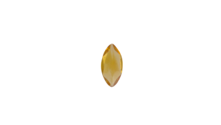 12x6 MM Citrine Genuine Marquis